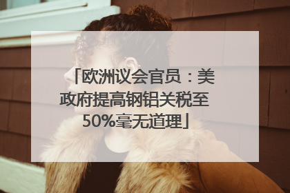 欧洲议会官员：美政府提高钢铝关税至50%毫无道理