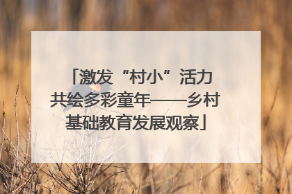 激发“村小”活力 共绘多彩童年——乡村基础教育发展观察