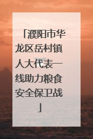 濮阳市华龙区岳村镇人大代表一线助力粮食安全保卫战