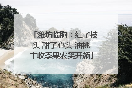 潍坊临朐：红了枝头 甜了心头 油桃丰收季果农笑开颜