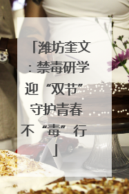 潍坊奎文：禁毒研学迎“双节” 守护青春不“毒”行