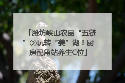 潍坊峡山农品“五链”②玩转“姜”湖！厨房配角站养生C位