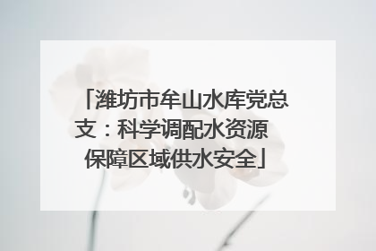 潍坊市牟山水库党总支：科学调配水资源 保障区域供水安全