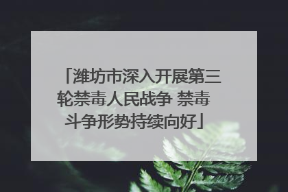 潍坊市深入开展第三轮禁毒人民战争 禁毒斗争形势持续向好