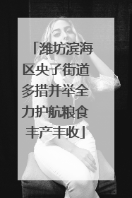 潍坊滨海区央子街道多措并举全力护航粮食丰产丰收