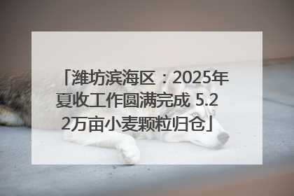 潍坊滨海区：2025年夏收工作圆满完成 5.22万亩小麦颗粒归仓