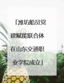 潍坊船员党建赋能联合体在山东交通职业学院成立