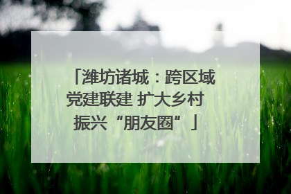 潍坊诸城：跨区域党建联建 扩大乡村振兴“朋友圈”