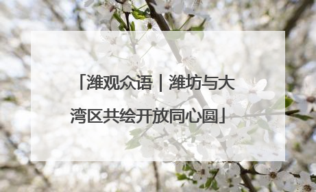 潍观众语｜潍坊与大湾区共绘开放同心圆