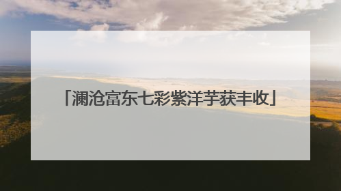 澜沧富东七彩紫洋芋获丰收