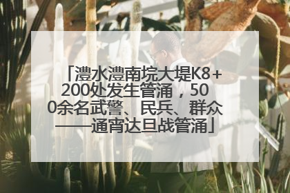 澧水澧南垸大堤K8+200处发生管涌，500余名武警、民兵、群众——通宵达旦战管涌