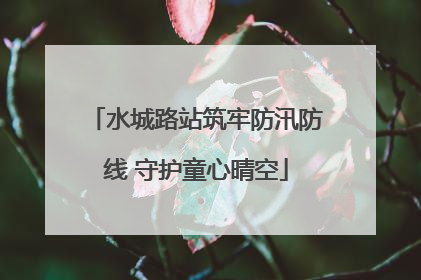 水城路站筑牢防汛防线 守护童心晴空
