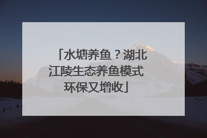 水塘养鱼？湖北江陵生态养鱼模式环保又增收