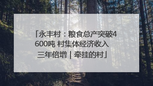 永丰村：粮食总产突破4600吨 村集体经济收入三年倍增｜牵挂的村