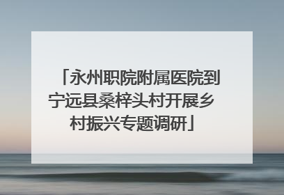 永州职院附属医院到宁远县桑梓头村开展乡村振兴专题调研