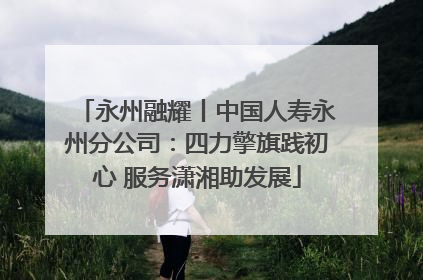 永州融耀丨中国人寿永州分公司：四力擎旗践初心 服务潇湘助发展