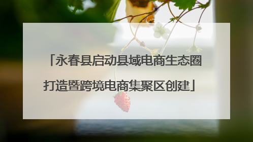 永春县启动县域电商生态圈打造暨跨境电商集聚区创建