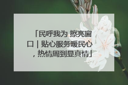 民呼我为 擦亮窗口｜贴心服务暖民心，热情周到显真情