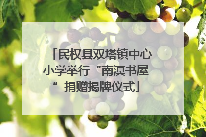 民权县双塔镇中心小学举行“南溟书屋”捐赠揭牌仪式