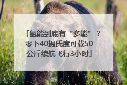 氢能到底有“多能”？零下40摄氏度可载50公斤续航飞行3小时