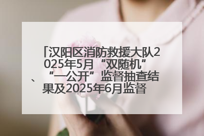 汉阳区消防救援大队2025年5月“双随机”、“一公开”监督抽查结果及2025年6月监督抽查任务公示