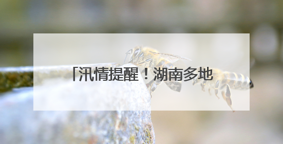 汛情提醒！湖南多地将迎来暴雨、大暴雨