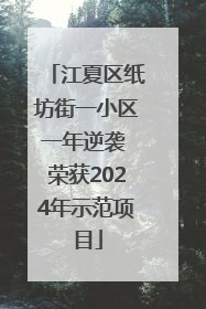 江夏区纸坊街一小区一年逆袭 荣获2024年示范项目