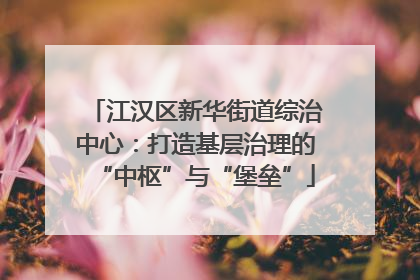 江汉区新华街道综治中心：打造基层治理的“中枢”与“堡垒”