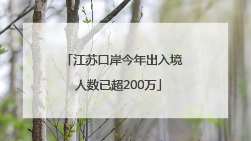 江苏口岸今年出入境人数已超200万