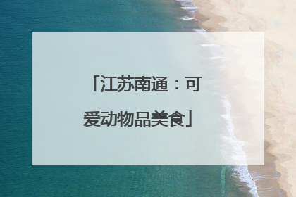 江苏南通：可爱动物品美食