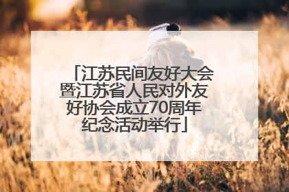 江苏民间友好大会暨江苏省人民对外友好协会成立70周年纪念活动举行