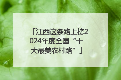 江西这条路上榜2024年度全国“十大最美农村路”