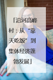 沿河高峰村：从“靠天吃饭”到集体经济蓬勃发展