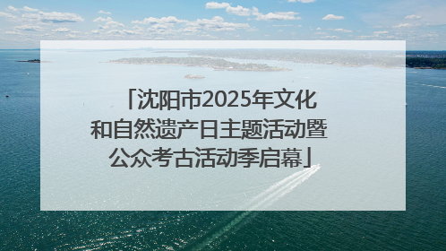 沈阳市2025年文化和自然遗产日主题活动暨公众考古活动季启幕