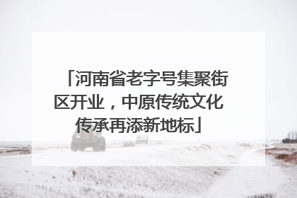 河南省老字号集聚街区开业，中原传统文化传承再添新地标