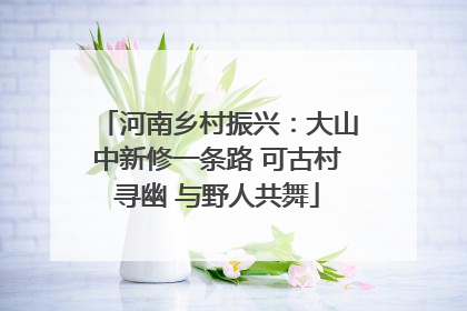 河南乡村振兴：大山中新修一条路 可古村寻幽 与野人共舞