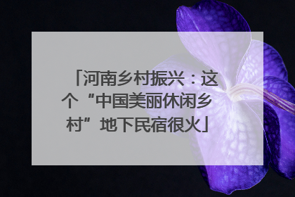 河南乡村振兴：这个“中国美丽休闲乡村”地下民宿很火