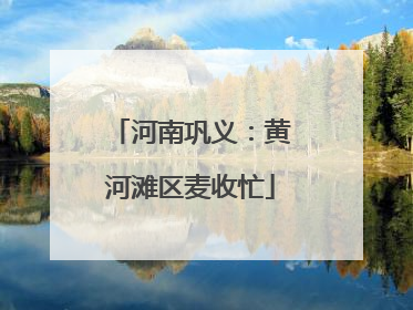 河南巩义：黄河滩区麦收忙