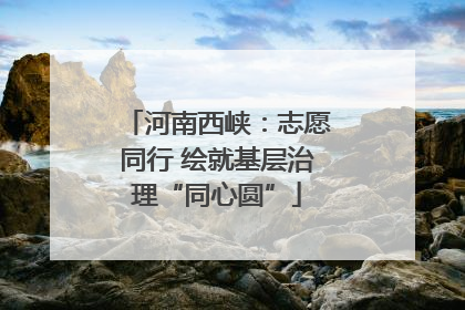 河南西峡：志愿同行 绘就基层治理“同心圆”