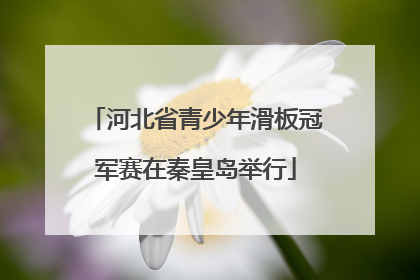 河北省青少年滑板冠军赛在秦皇岛举行