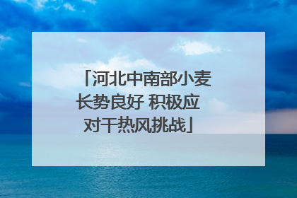 河北中南部小麦长势良好 积极应对干热风挑战