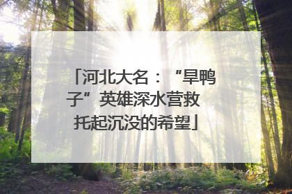河北大名：“旱鸭子”英雄深水营救 托起沉没的希望
