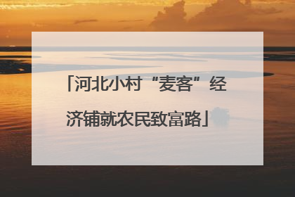 河北小村“麦客”经济铺就农民致富路