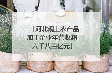 河北规上农产品加工企业年营收超六千八百亿元