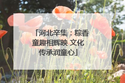 河北辛集：粽香童趣相辉映 文化传承润童心