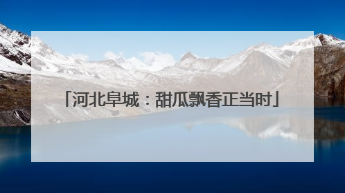河北阜城：甜瓜飘香正当时