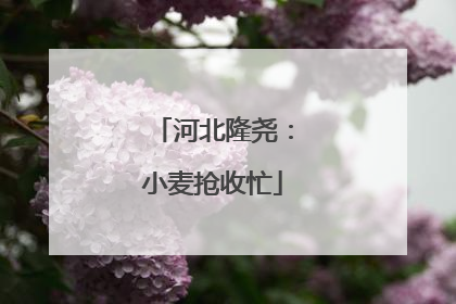 河北隆尧：小麦抢收忙