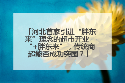 河北首家引进“胖东来”理念的超市开业 “+胖东来”，传统商超能否成功突围？