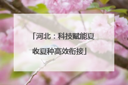 河北：科技赋能夏收夏种高效衔接