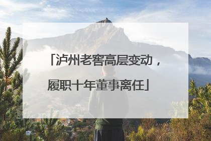 泸州老窖高层变动，履职十年董事离任